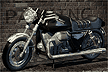 guzzi