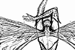 moth_creature