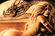 dragon_fantasy